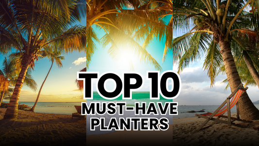 op 10 Must-Have Planters from GTC POTS