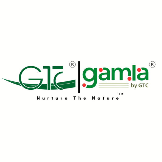 Why GTC POTS is India’s Trusted Name