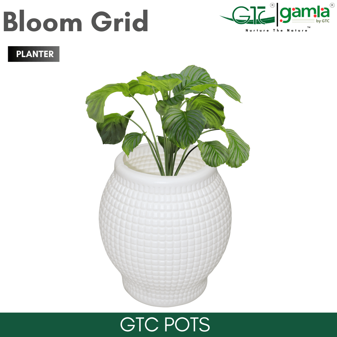 Bloom Grid Planter Suitable for Home, Gardens, Hotels and Resorts - GTC POTS