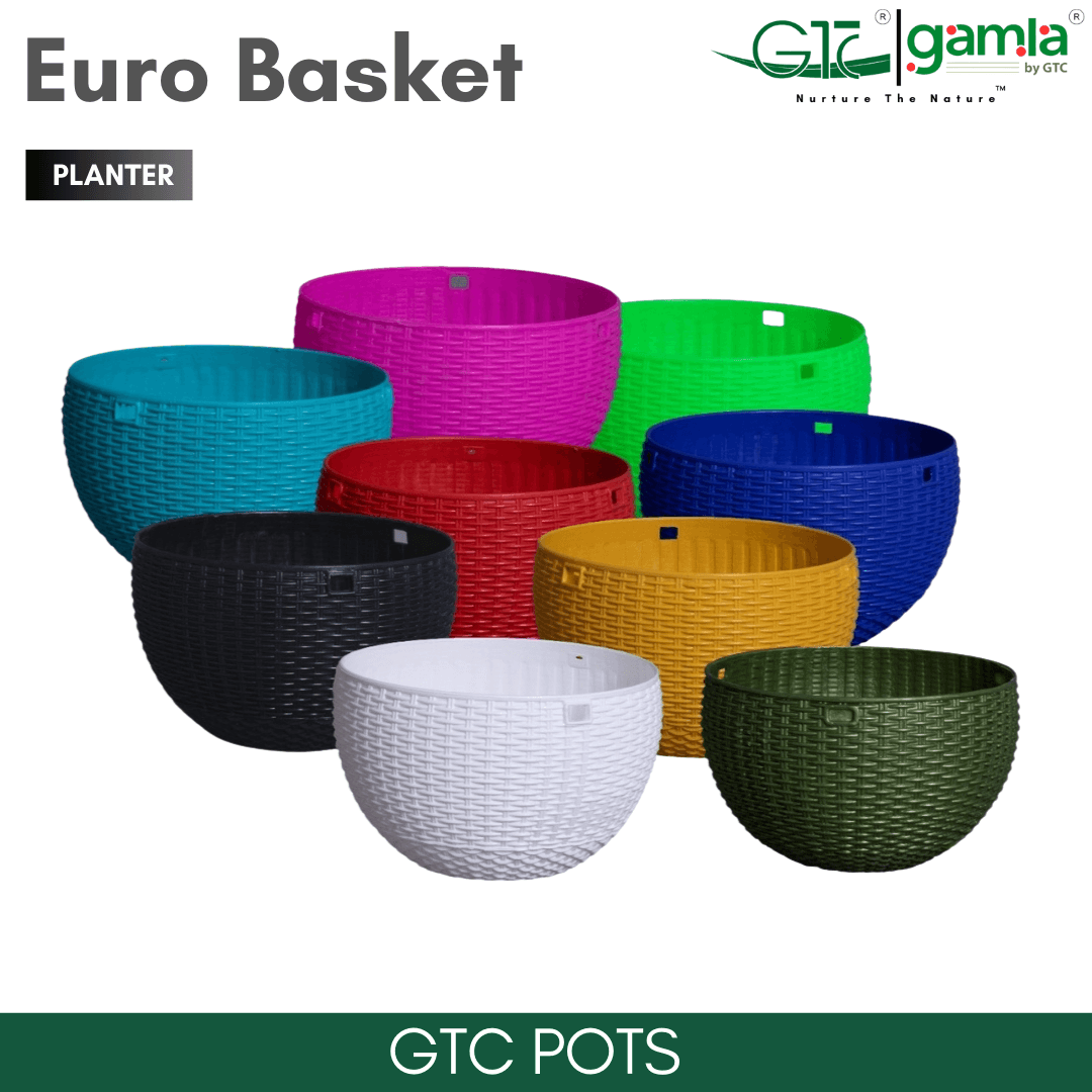 Euro Basket (Set Of 5) Suitable for Home, Gardens, Hotels and Resorts - GTC POTS