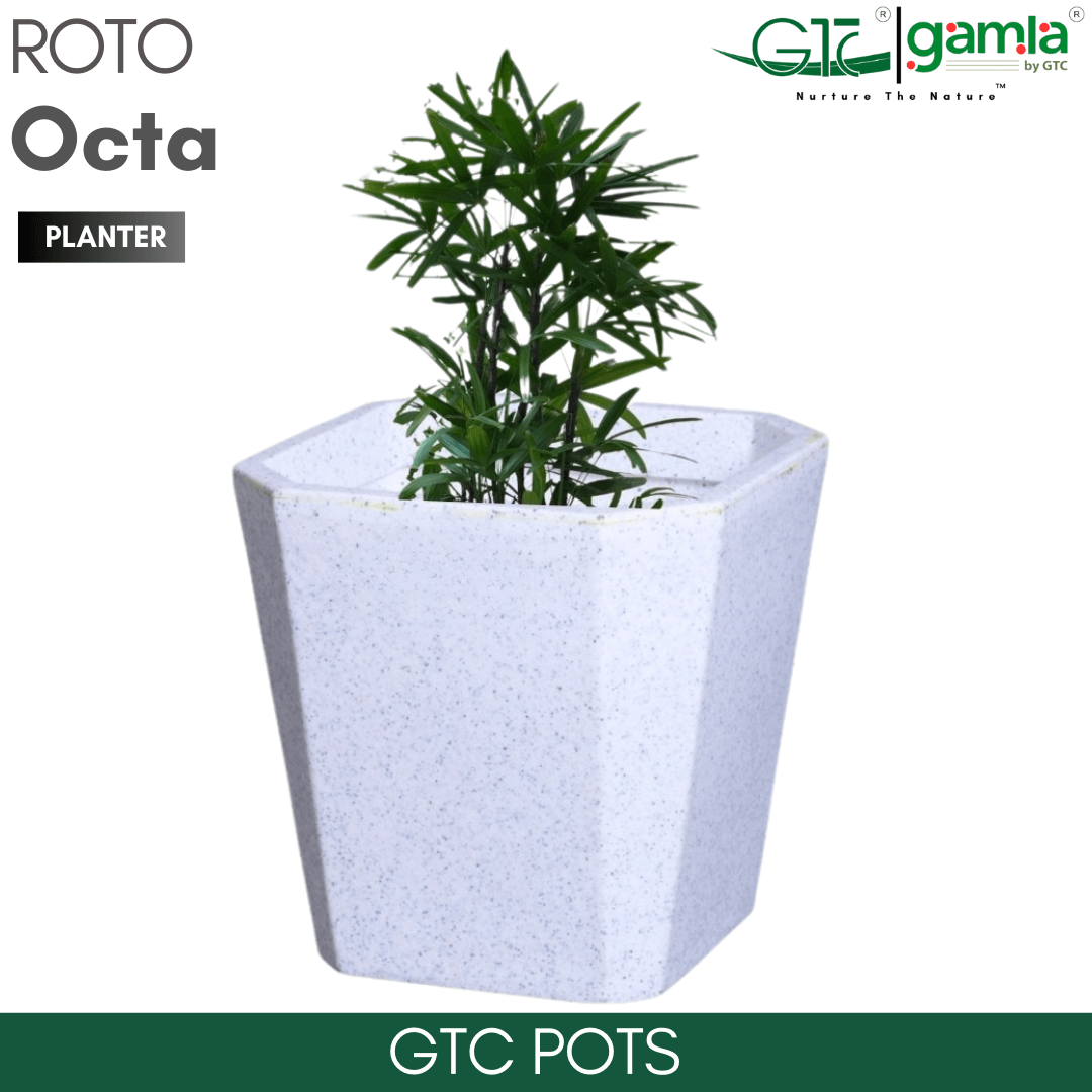 Octa Planter Roto Moulding Suitable for Home, Gardens, Hotels and Resorts - GTC POTS