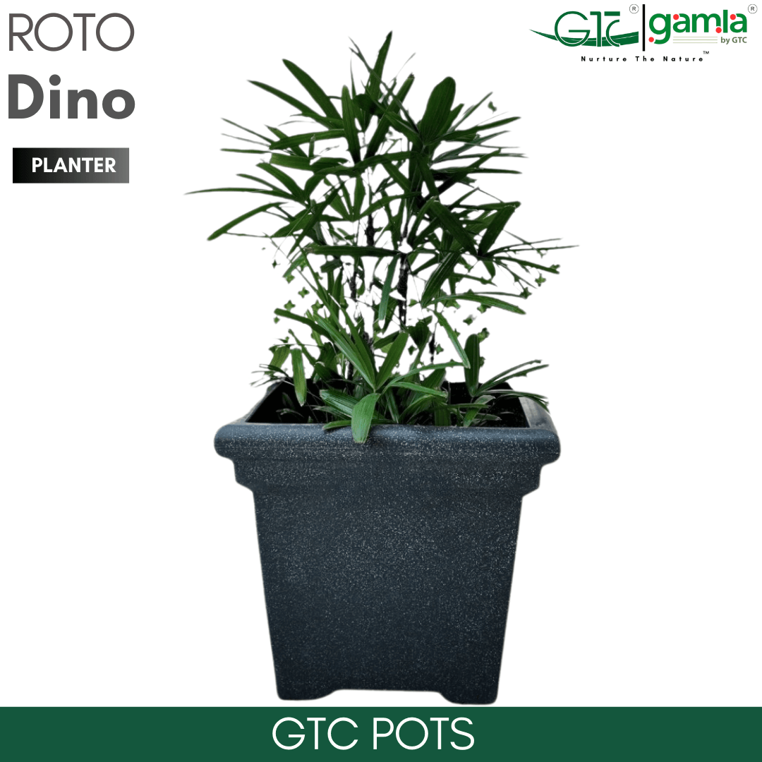 Dino Planter Roto Moulding Planter Suitable for Home, Gardens, Hotels and Resorts - GTC POTS