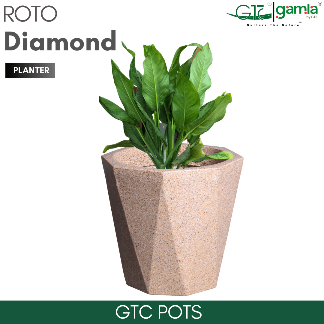 Diamond Planter Roto Moulding Suitable for Home, Gardens, Hotels and Resorts - GTC POTS