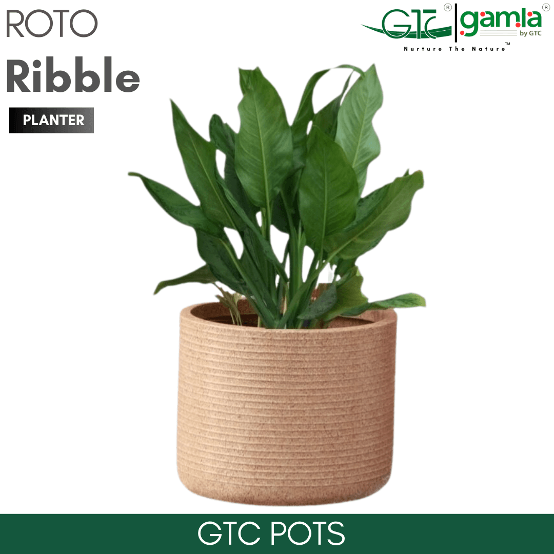 Ribble Wheel Planter Roto Moulding Planter Suitable for Home, Gardens, Hotels and Resorts - GTC POTS