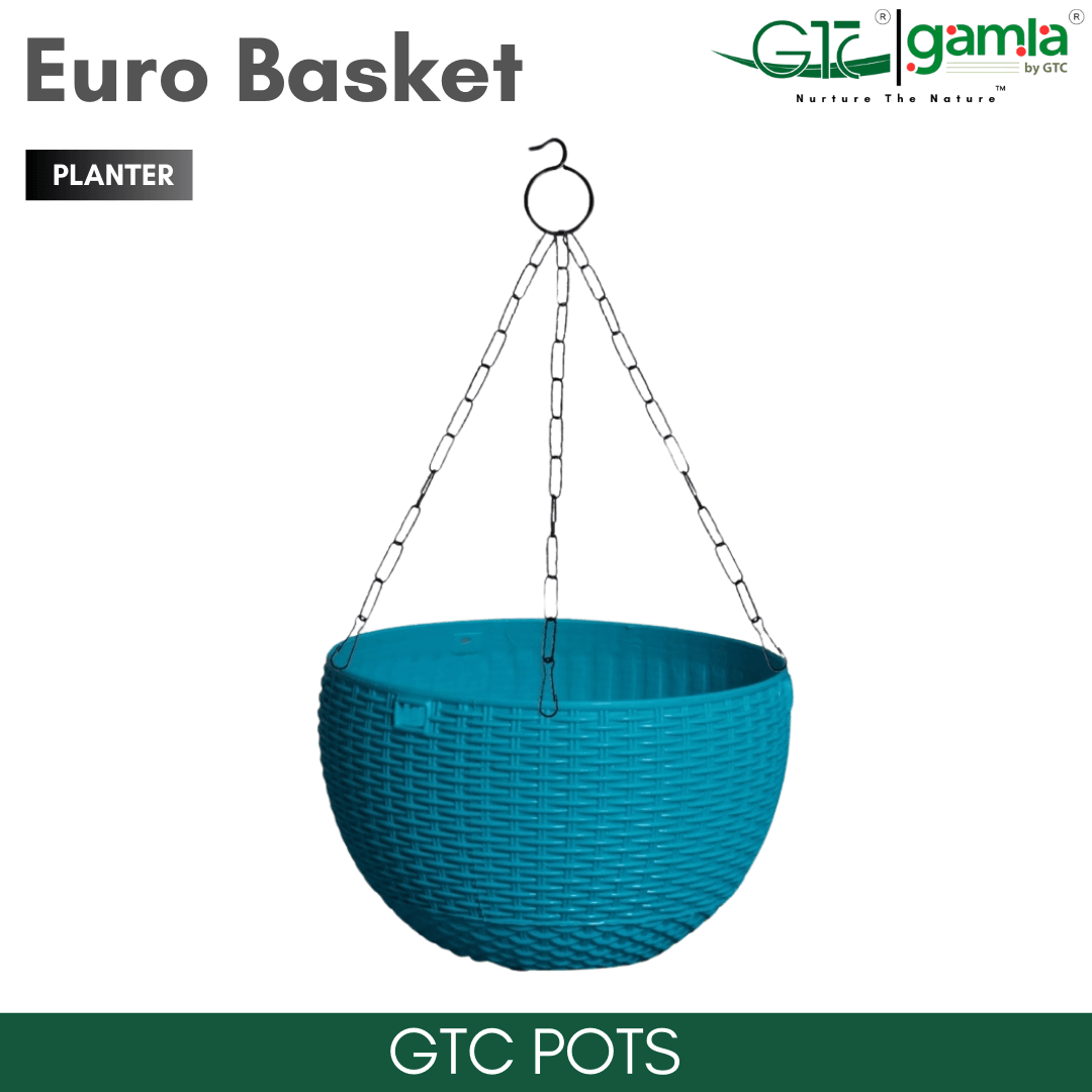 Euro Basket (Set Of 5) Suitable for Home, Gardens, Hotels and Resorts - GTC POTS