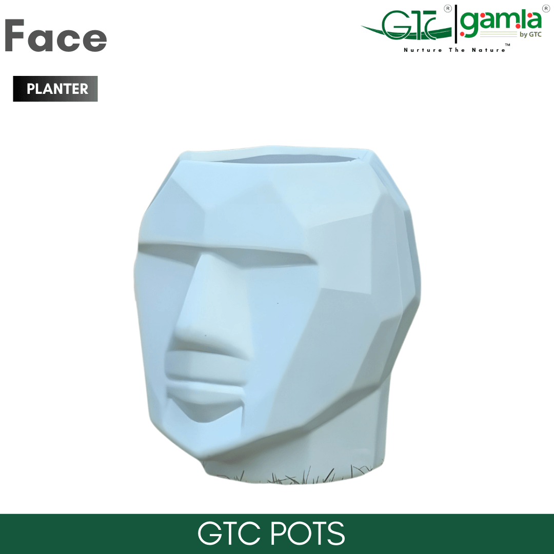 FACE PLANTER - GTC POTS