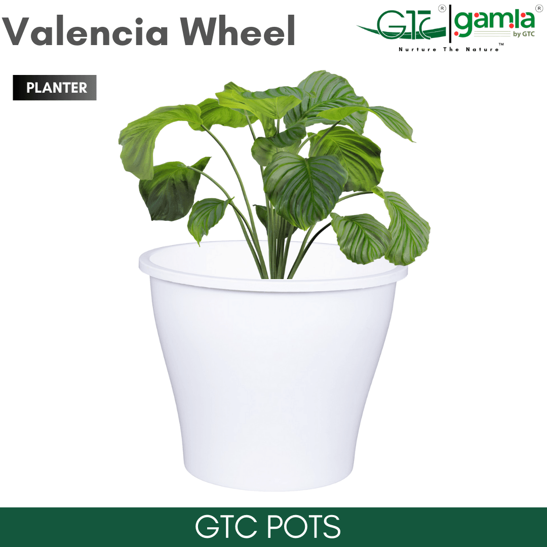 Valencia Wheel Planter Suitable for Home, Gardens, Indoor, Outdoor - GTC POTS