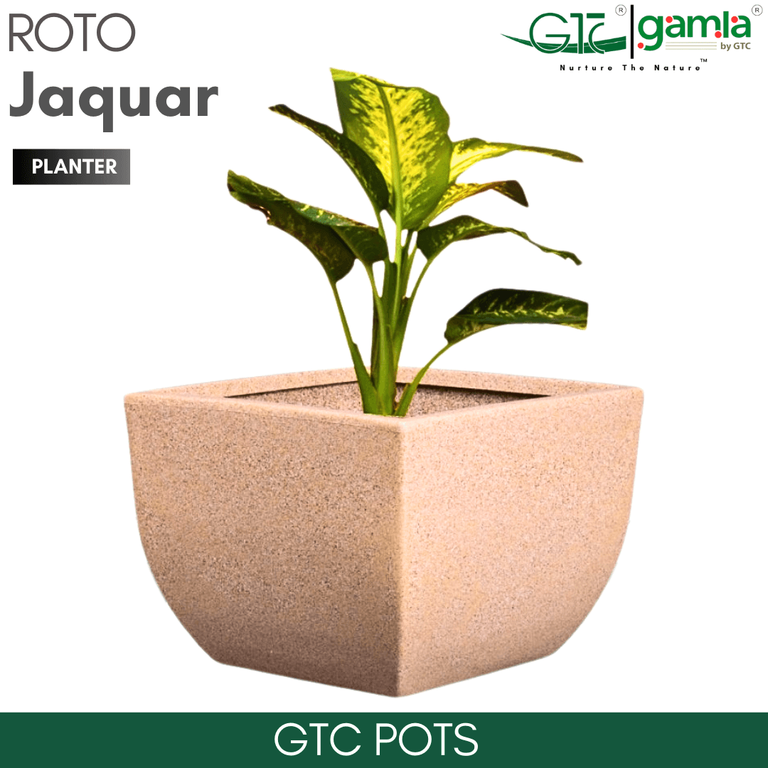 Jaguar Planter Roto Moulding Planter Suitable for Home, Gardens, Hotels and Resorts - GTC POTS