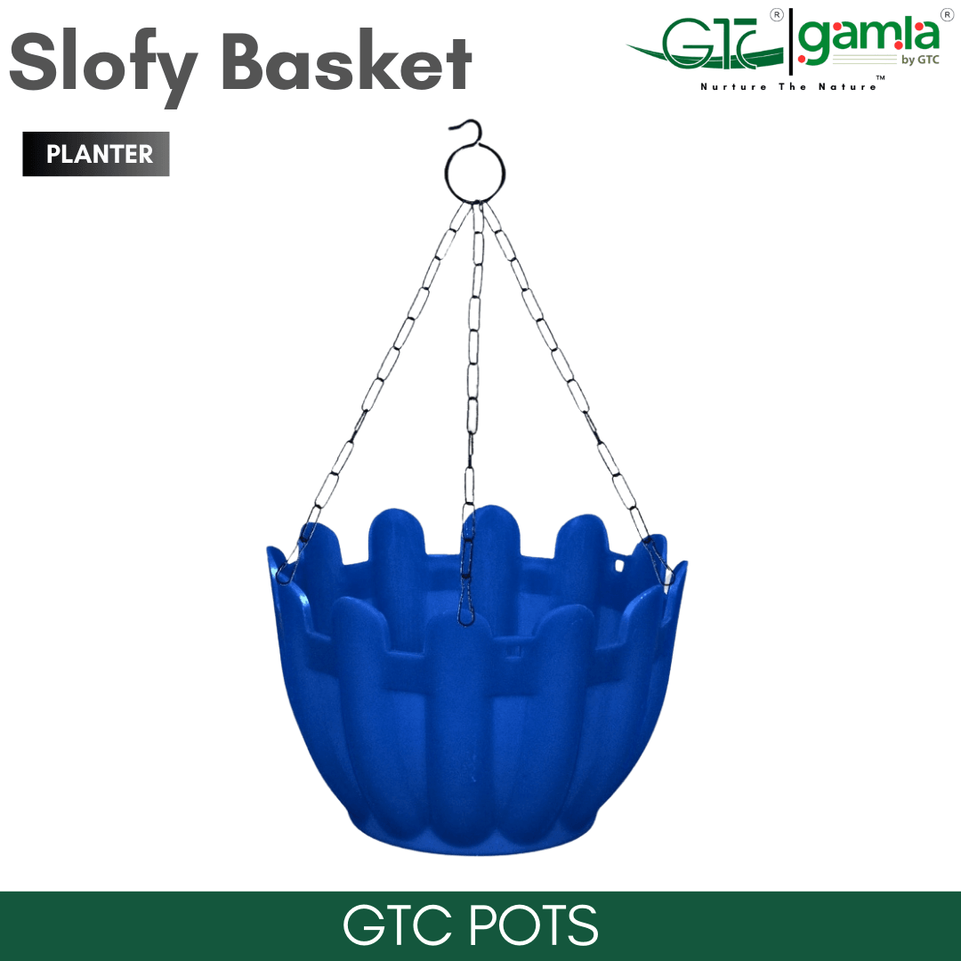 Slofy Basket (Set Of 5) Suitable for Home, Gardens, Hotels and Resorts - GTC POTS