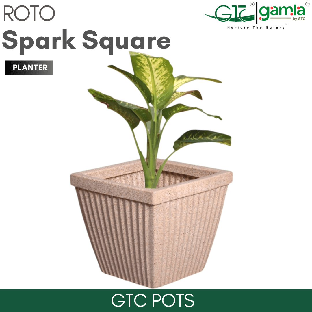 SPARK SQUARE PLANTER Roto Moulding Suitable for Home, Gardens, Hotels and Resorts - GTC POTS