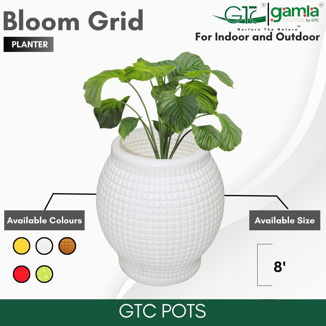 Bloom Grid Planter Suitable for Home, Gardens, Hotels and Resorts - GTC POTS