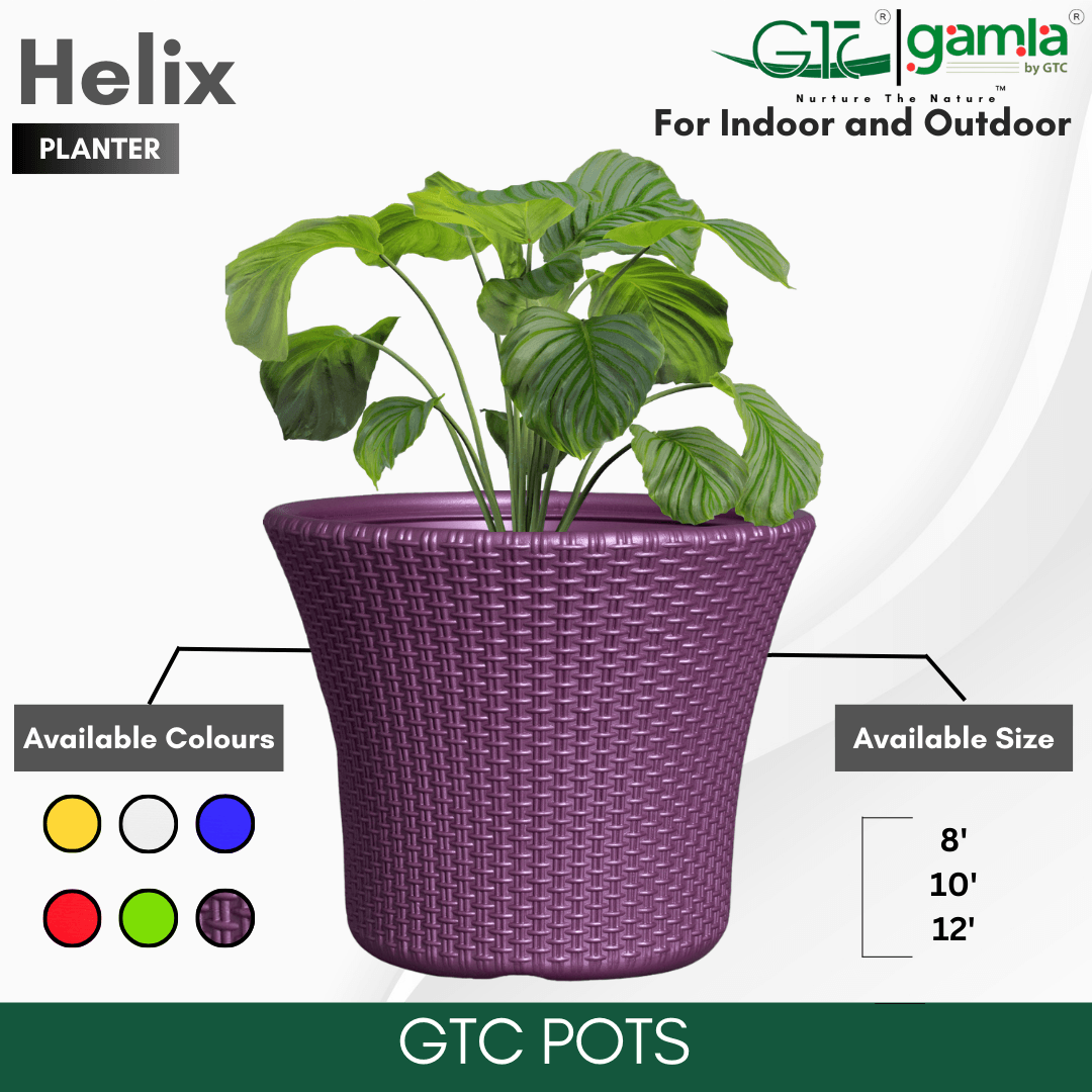 Helix Planter Suitable for Home, Gardens, Hotels and Resorts - GTC POTS