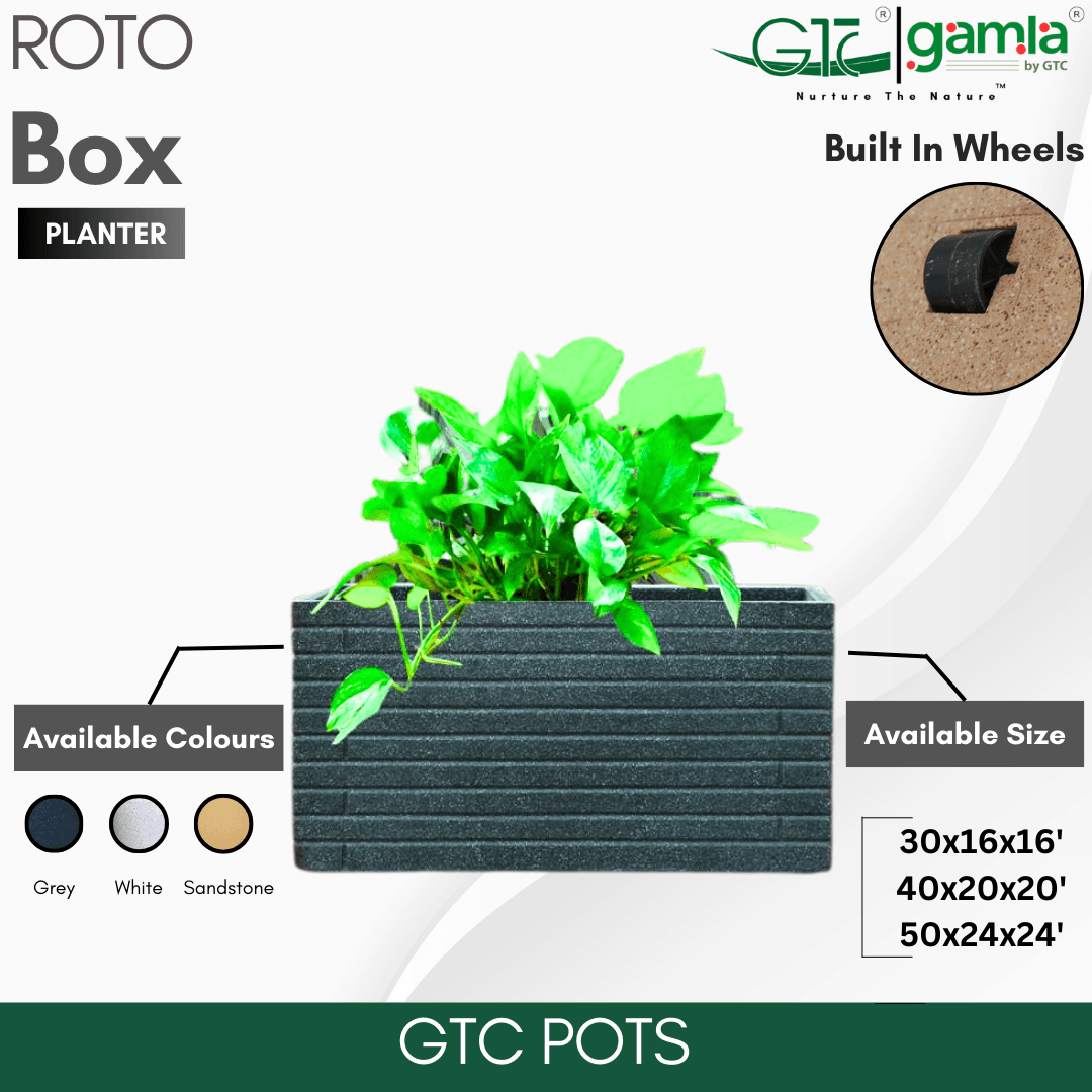 Box Wheel Planter Roto Moulding Planter Suitable for Home, Gardens, Hotels and Resorts - GTC POTS