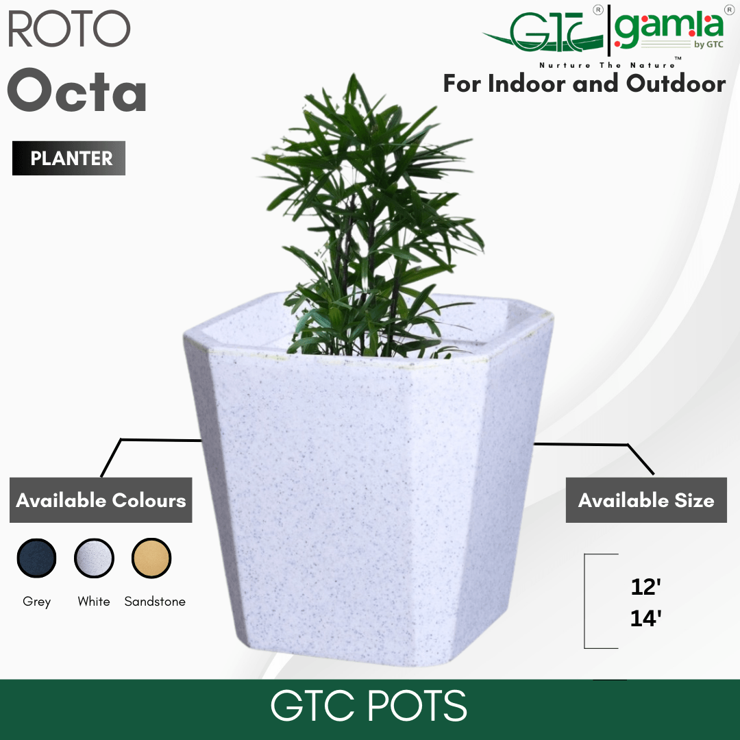 Octa Planter Roto Moulding Suitable for Home, Gardens, Hotels and Resorts - GTC POTS