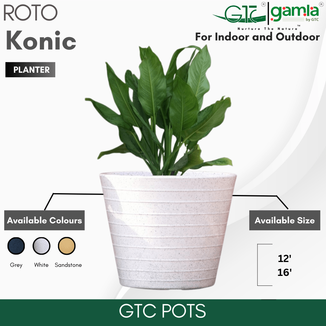 Konic Planter Roto Moulding Suitable for Home, Gardens, Hotels and Resorts - GTC POTS