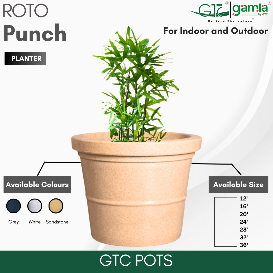 Punch Planter Roto Moulding Planter Suitable for Home, Gardens, Hotels and Resorts - GTC POTS
