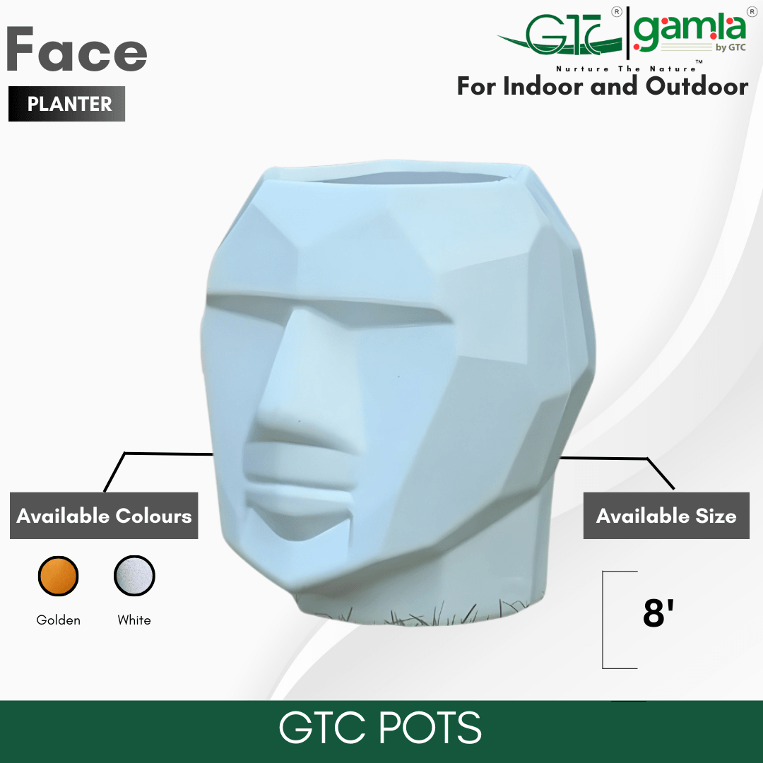 FACE PLANTER - GTC POTS