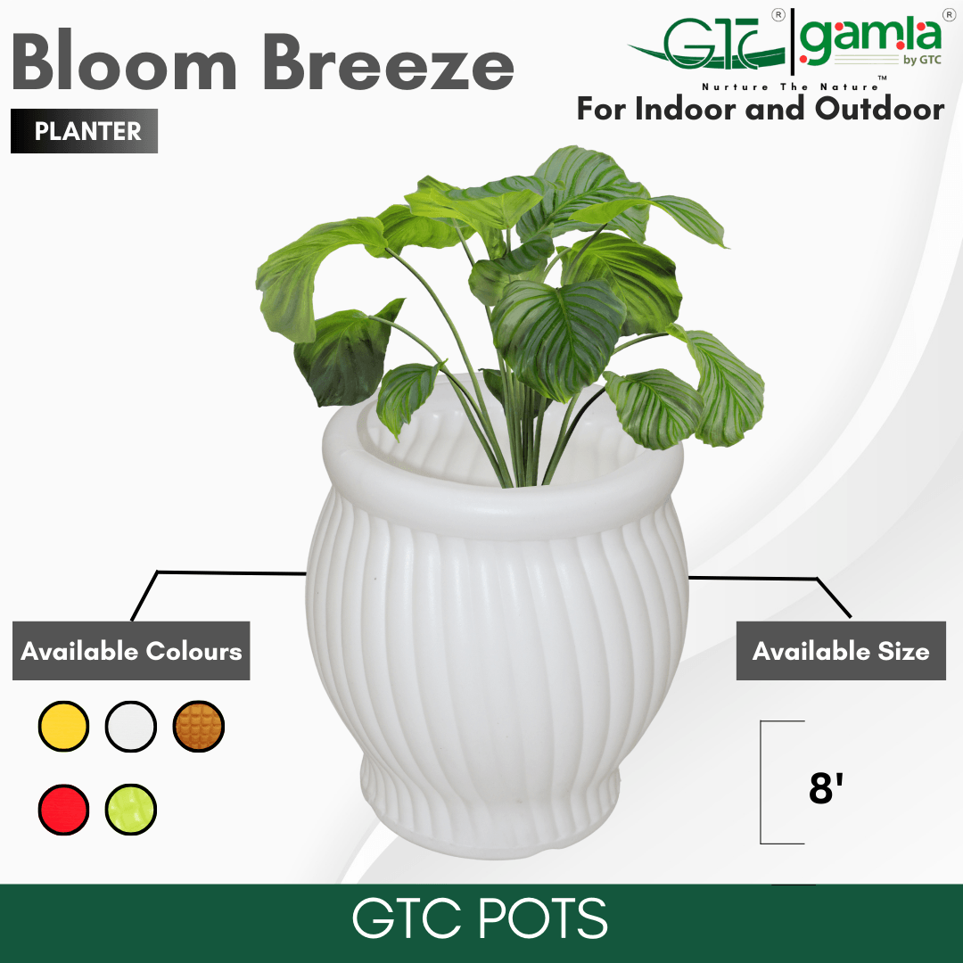Bloom Breeze Planter Suitable for Home, Gardens, Hotels and Resorts - GTC POTS