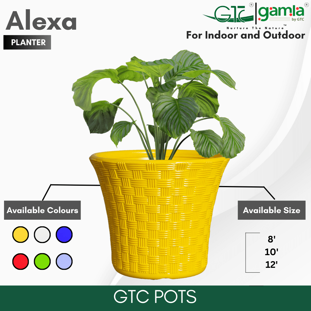 Alexa Planter Suitable for Home, Gardens, Hotels and Resorts - GTC POTS