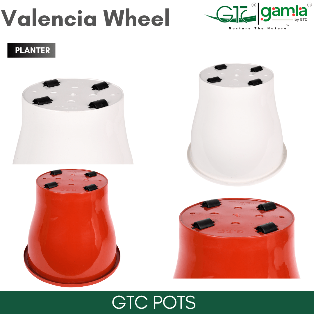 Valencia Wheel Planter Suitable for Home, Gardens, Indoor, Outdoor - GTC POTS