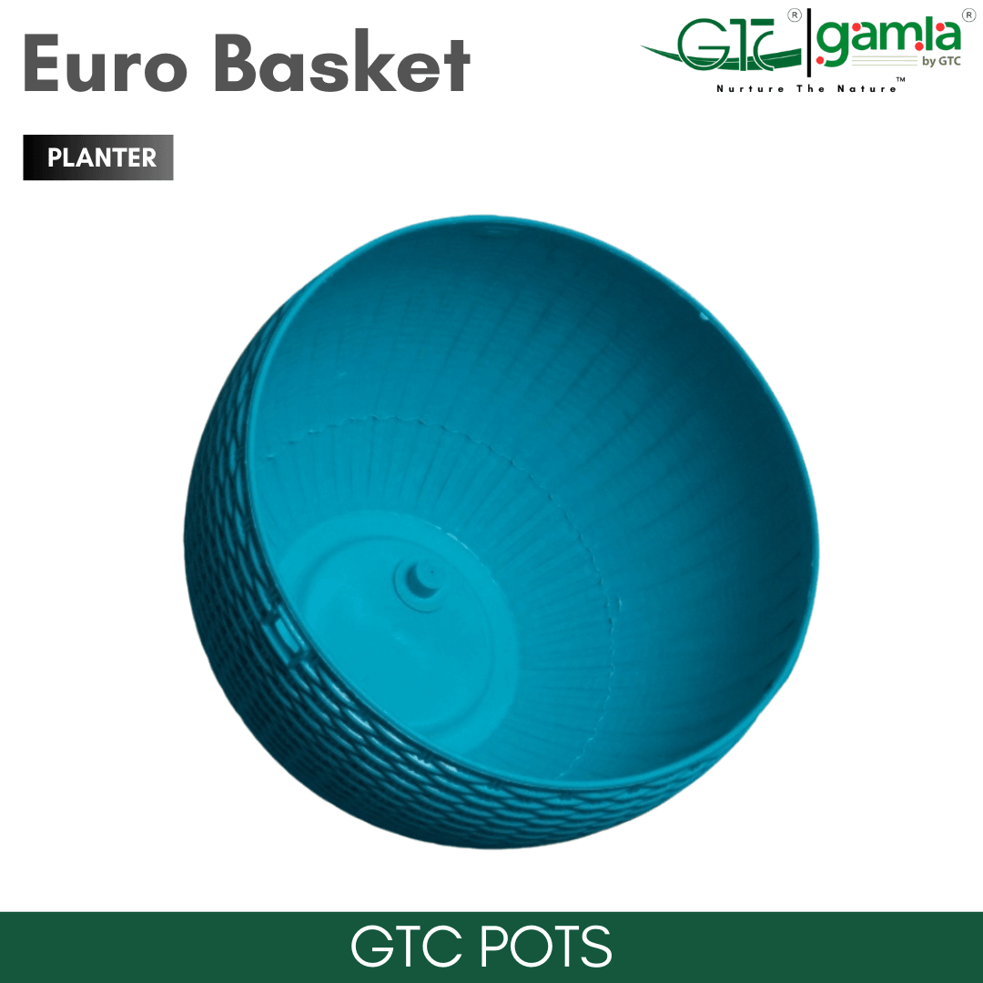 Euro Basket (Set Of 5) Suitable for Home, Gardens, Hotels and Resorts - GTC POTS