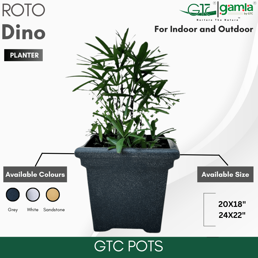 Dino Planter Roto Moulding Planter Suitable for Home, Gardens, Hotels and Resorts - GTC POTS