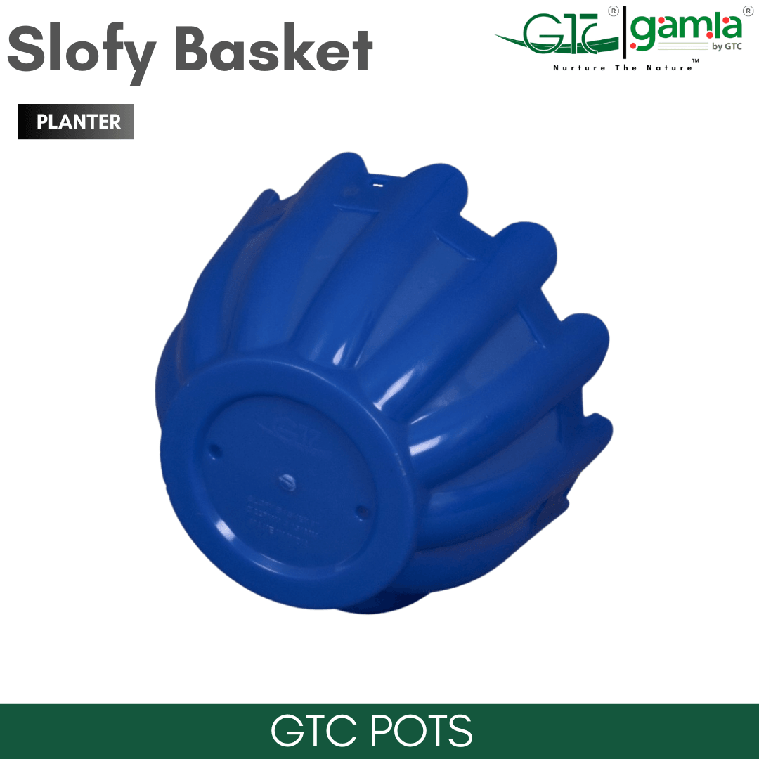 Slofy Basket (Set Of 5) Suitable for Home, Gardens, Hotels and Resorts - GTC POTS