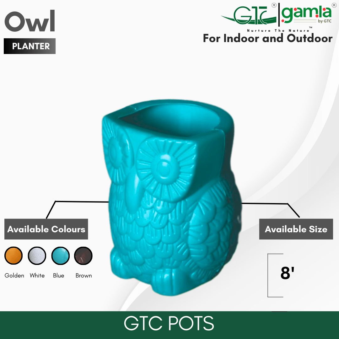 OWL PLANTER - GTC POTS