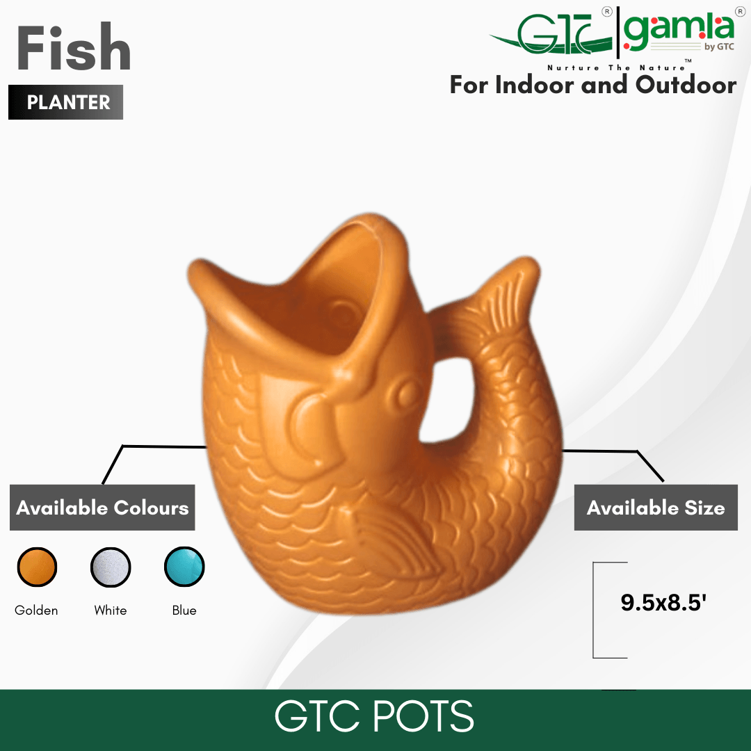 FISH PLANTER - GTC POTS