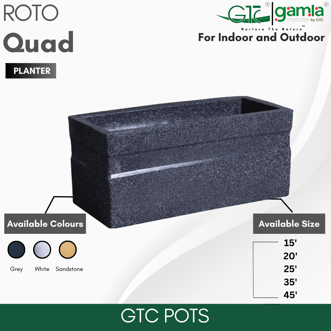 Quad Planter Roto Moulding Planter Suitable for Home, Gardens, Hotels and Resorts - GTC POTS