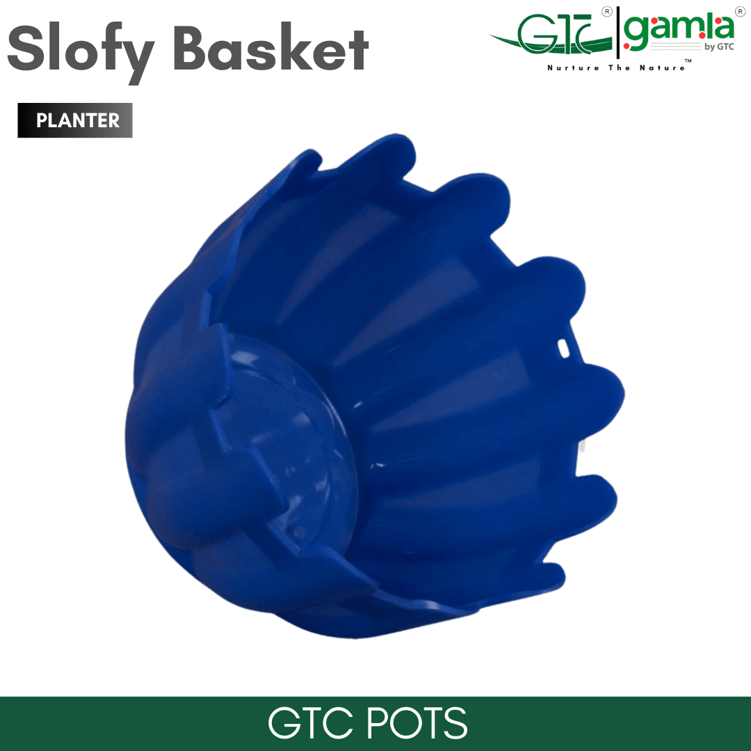 Slofy Basket (Set Of 5) Suitable for Home, Gardens, Hotels and Resorts - GTC POTS