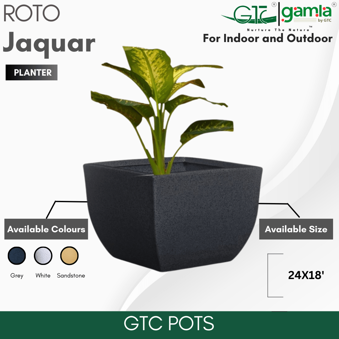 Jaguar Planter Roto Moulding Planter Suitable for Home, Gardens, Hotels and Resorts - GTC POTS