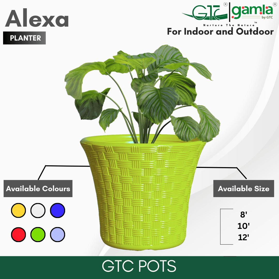 Alexa Planter Suitable for Home, Gardens, Hotels and Resorts - GTC POTS