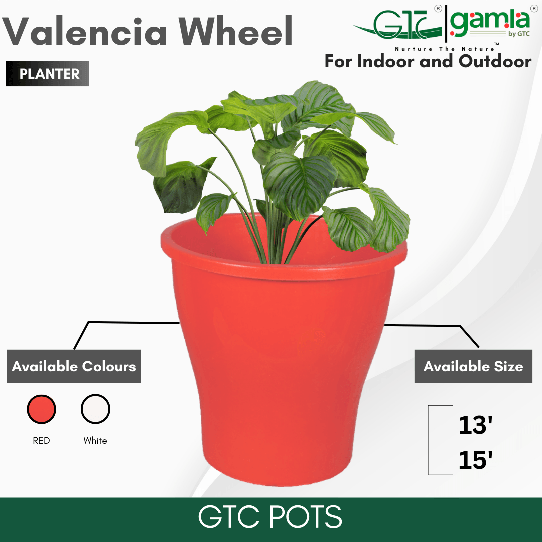 Valencia Wheel Planter Suitable for Home, Gardens, Indoor, Outdoor - GTC POTS