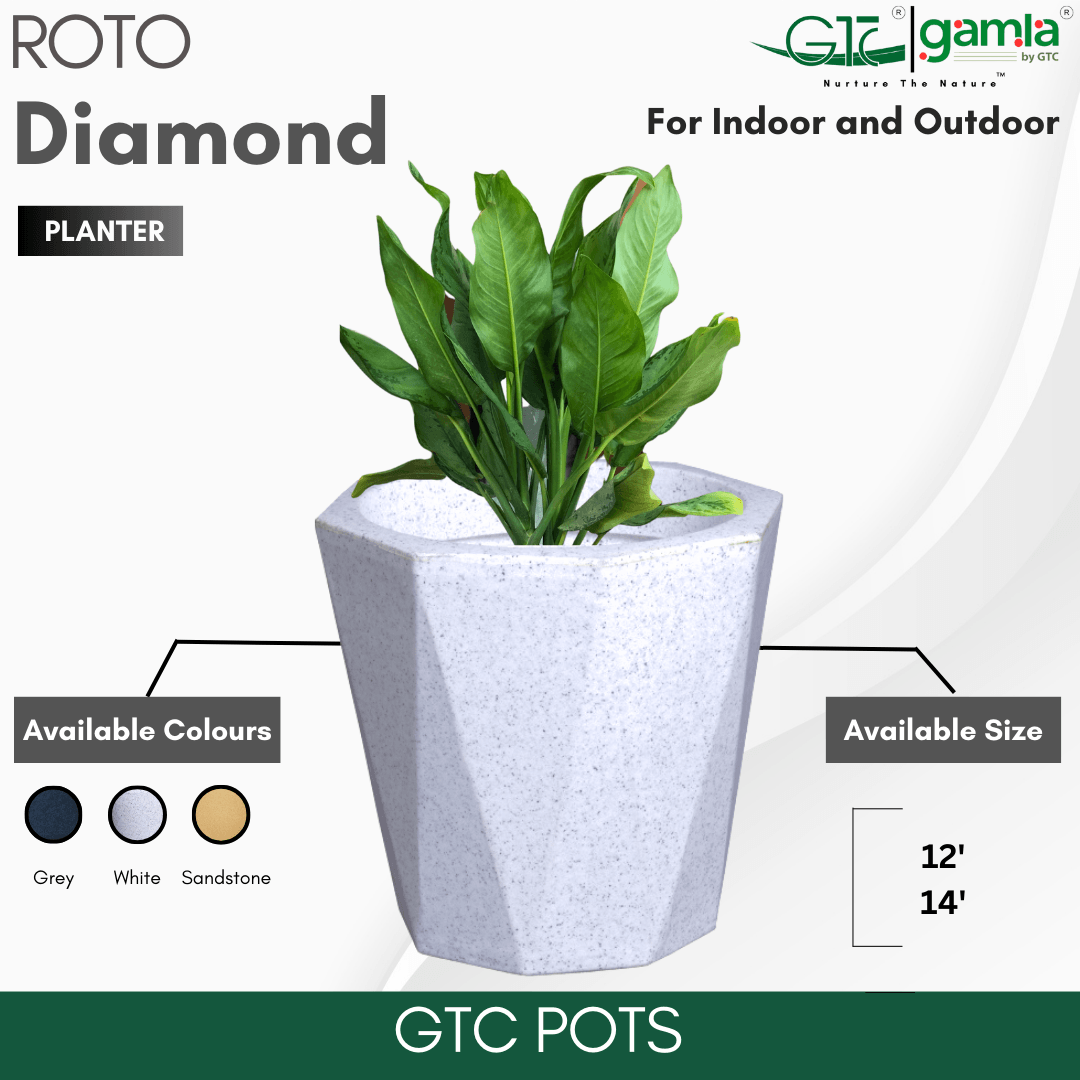 Diamond Planter Roto Moulding Suitable for Home, Gardens, Hotels and Resorts - GTC POTS