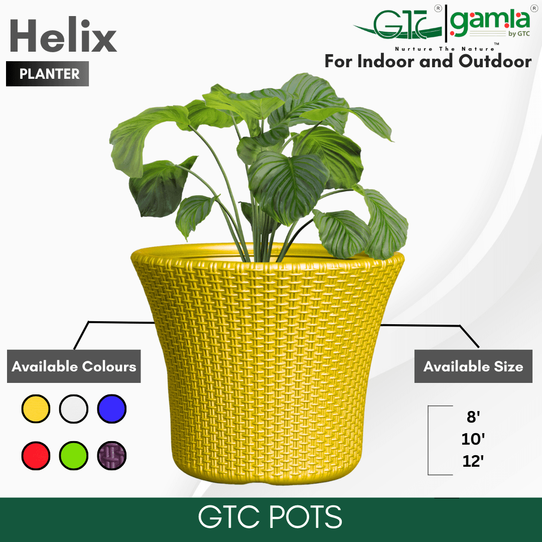 Helix Planter Suitable for Home, Gardens, Hotels and Resorts - GTC POTS