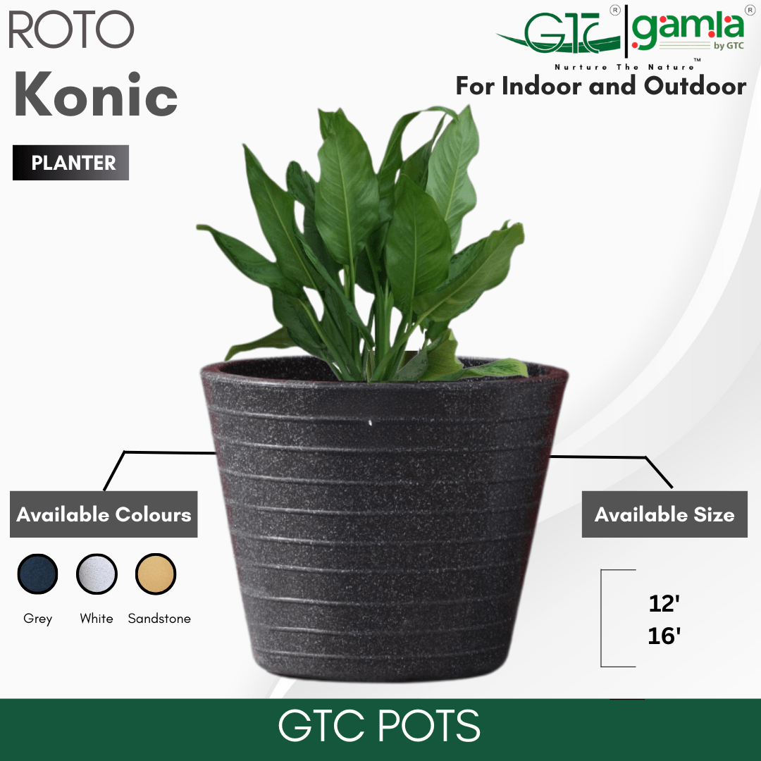 Konic Planter Roto Moulding Suitable for Home, Gardens, Hotels and Resorts - GTC POTS