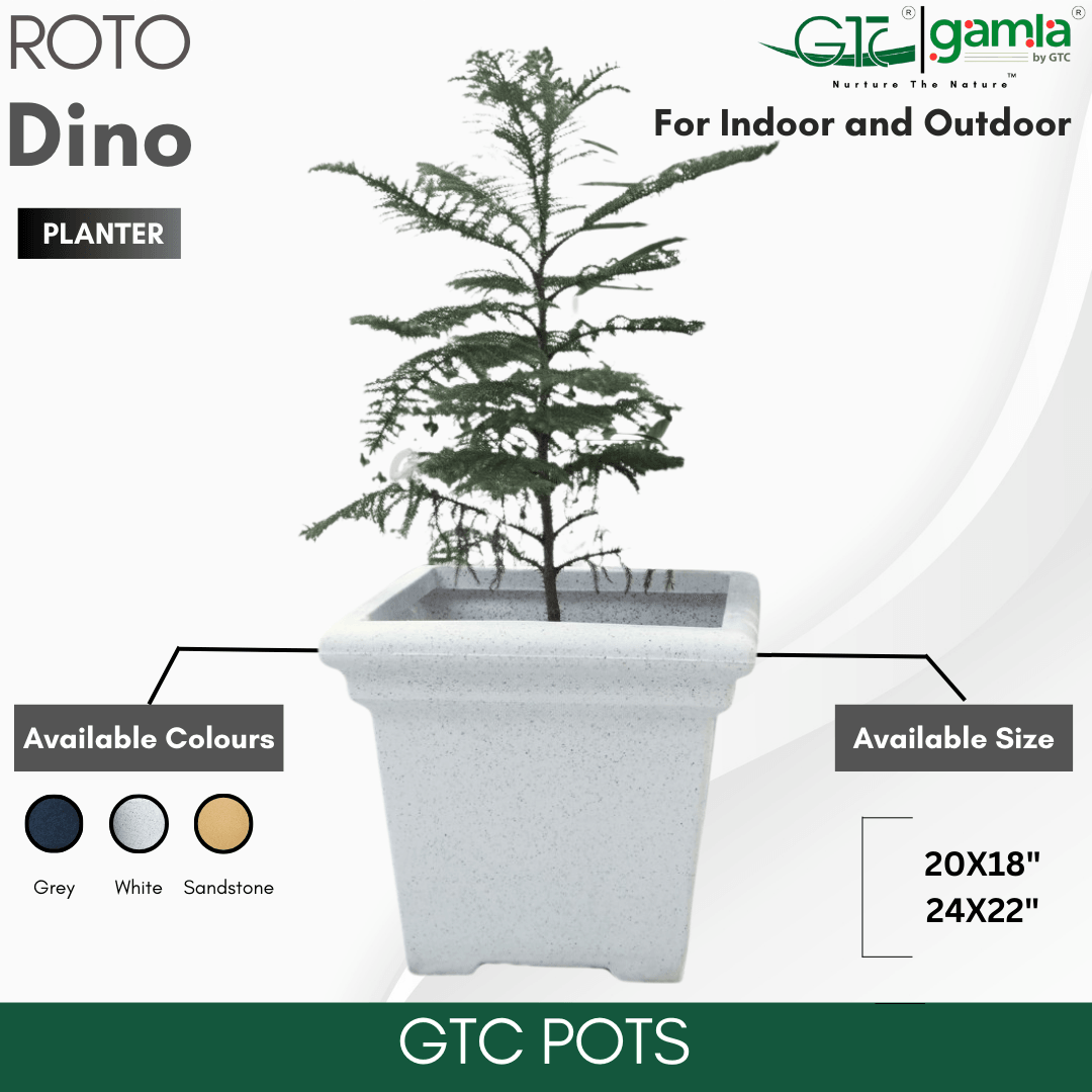Dino Planter Roto Moulding Planter Suitable for Home, Gardens, Hotels and Resorts - GTC POTS
