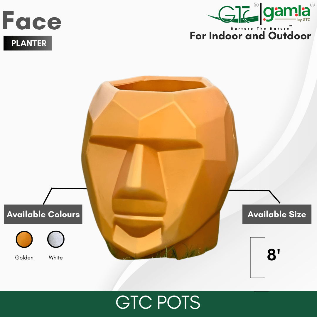FACE PLANTER - GTC POTS