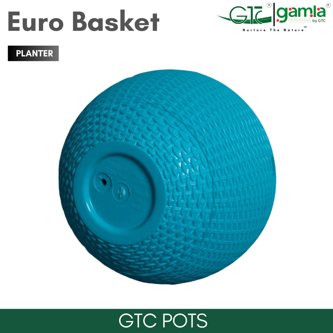 Euro Basket (Set Of 5) Suitable for Home, Gardens, Hotels and Resorts - GTC POTS