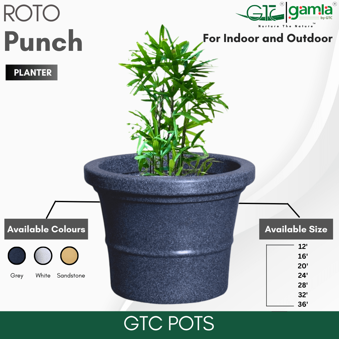 Punch Planter Roto Moulding Planter Suitable for Home, Gardens, Hotels and Resorts - GTC POTS