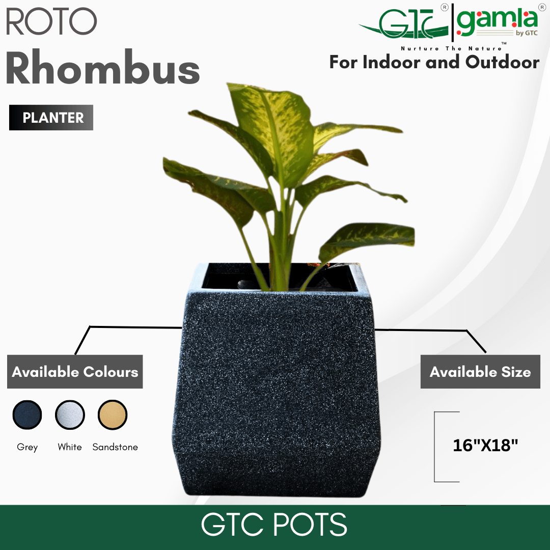 Rhombus Planter Roto Moulding Planter Suitable for Home, Gardens, Hotels and Resorts - GTC POTS