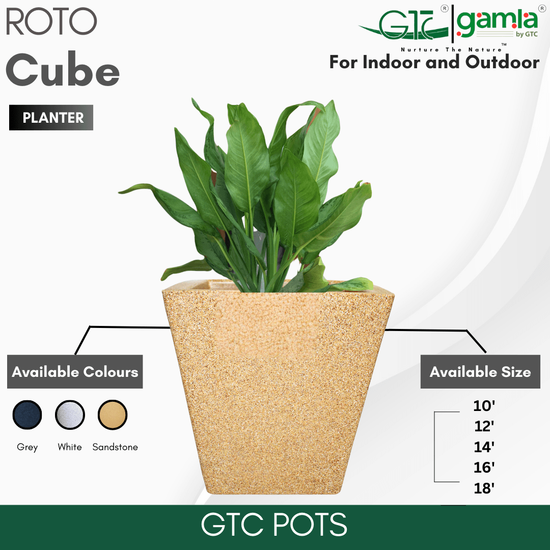 Cube Planter Roto Moulding Planter Suitable for Home, Gardens, Hotels and Resorts - GTC POTS