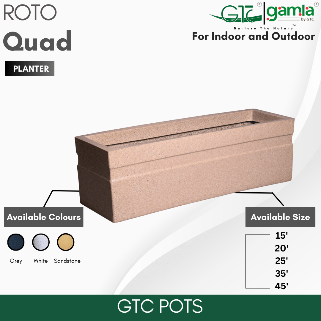 Quad Planter Roto Moulding Planter Suitable for Home, Gardens, Hotels and Resorts - GTC POTS