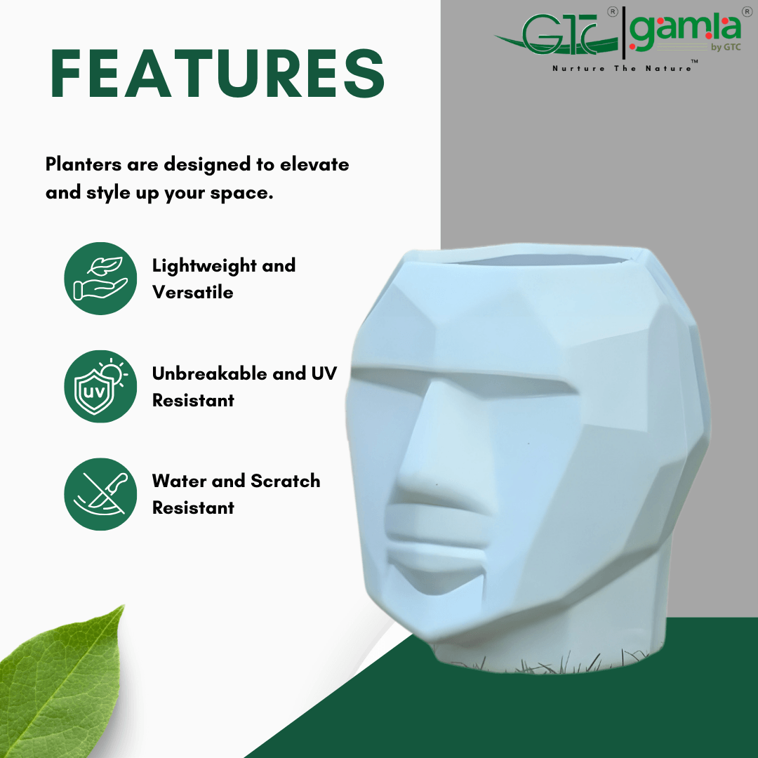 FACE PLANTER - GTC POTS