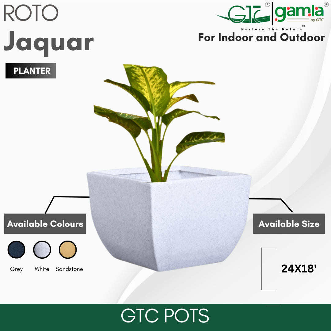 Jaguar Planter Roto Moulding Planter Suitable for Home, Gardens, Hotels and Resorts - GTC POTS