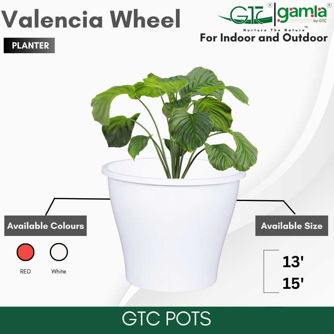 Valencia Wheel Planter Suitable for Home, Gardens, Indoor, Outdoor - GTC POTS