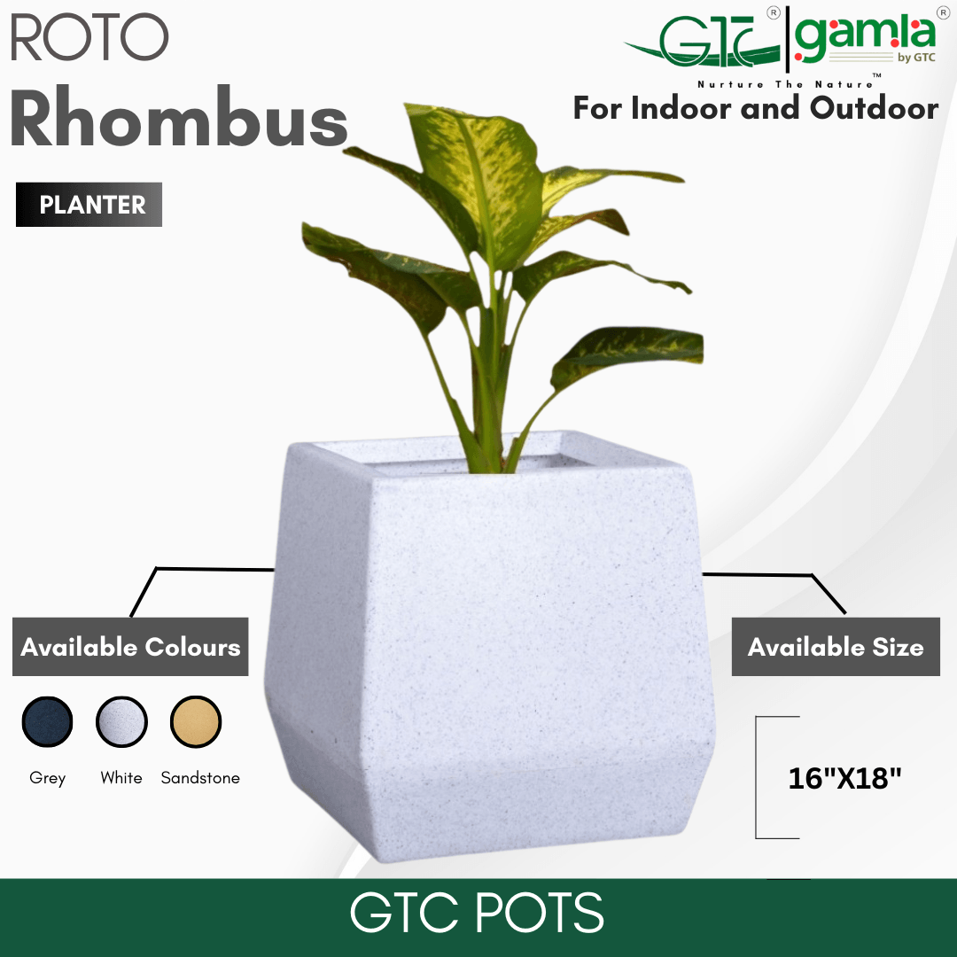 Rhombus Planter Roto Moulding Planter Suitable for Home, Gardens, Hotels and Resorts - GTC POTS