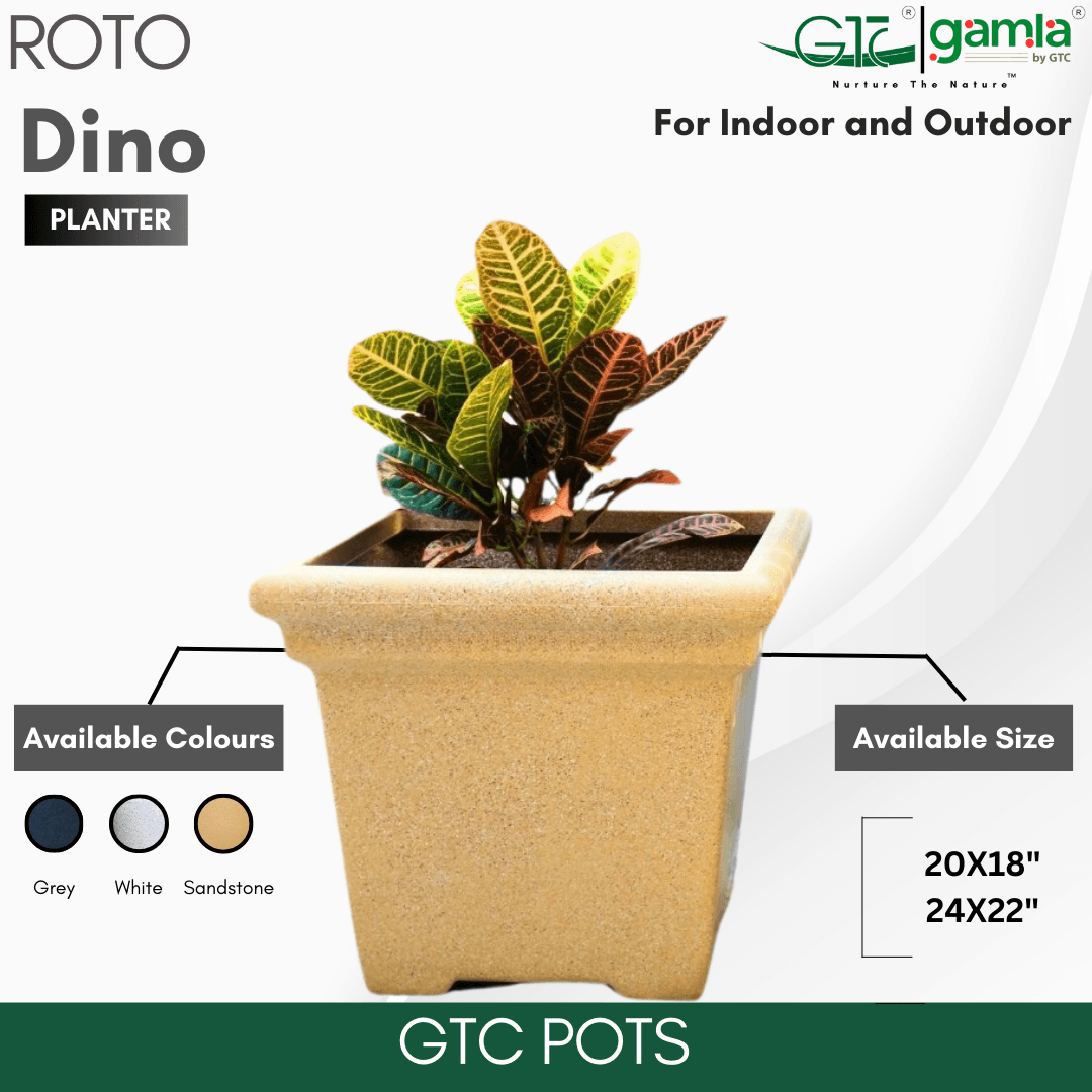 Dino Planter Roto Moulding Planter Suitable for Home, Gardens, Hotels and Resorts - GTC POTS