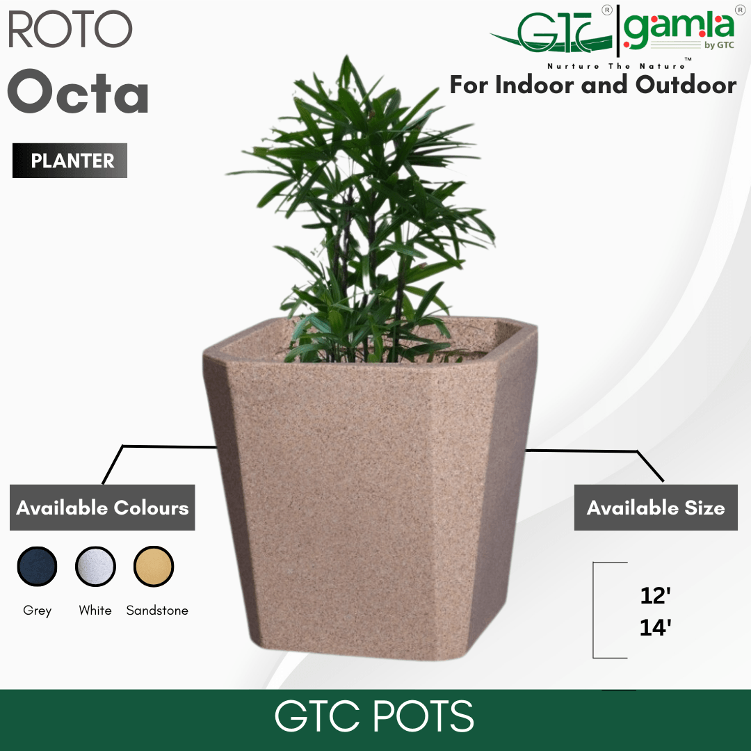 Octa Planter Roto Moulding Suitable for Home, Gardens, Hotels and Resorts - GTC POTS